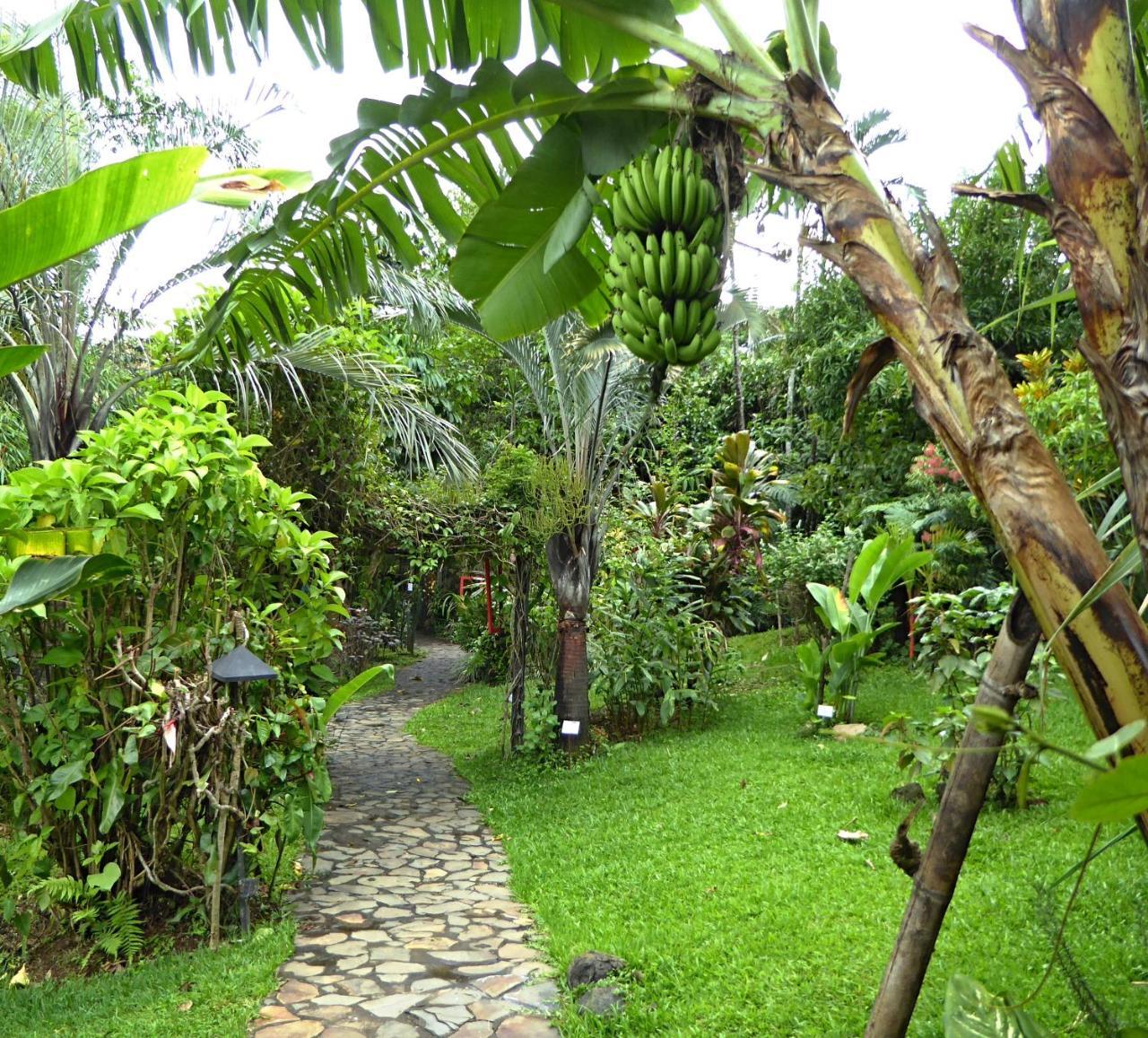 Pura Vida Hotel Tambor  Exterior photo