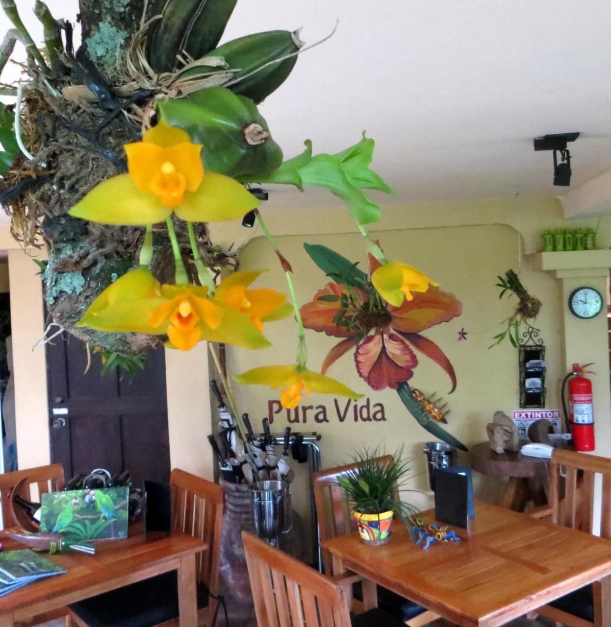 Pura Vida Hotel Tambor  Exterior photo